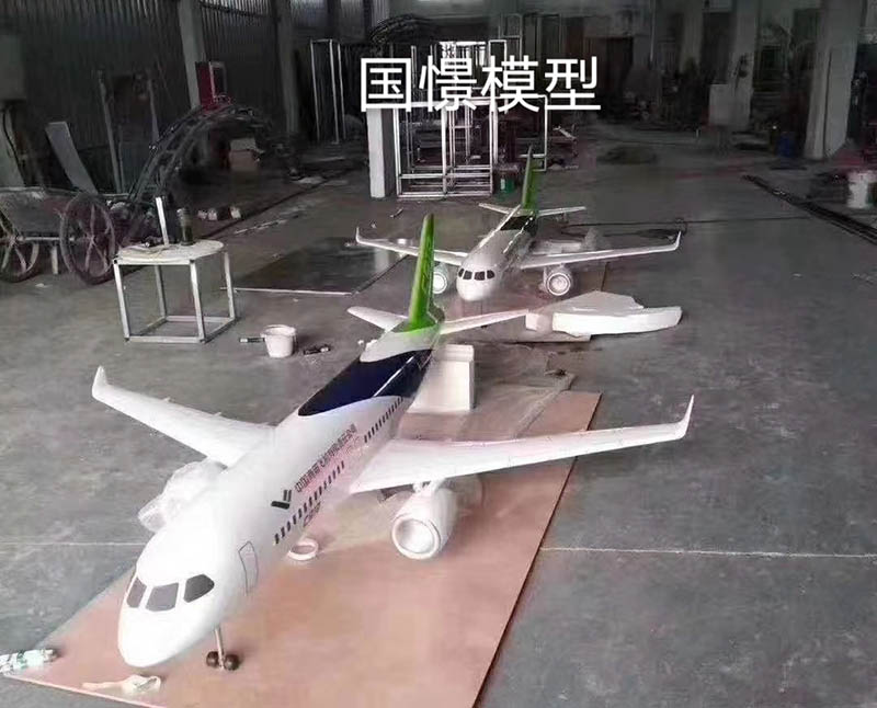 安龙县飞机模型
